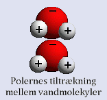 Polernes paritet i en vandmolekyle